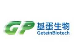 bck体育官网